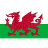 Wales U17 logo