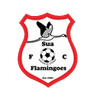 Sua Flamingoes logo