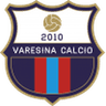 Varesina logo