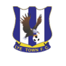 Lye Town W logo