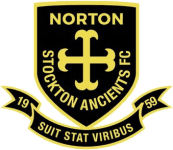 Norton & Stockton W logo