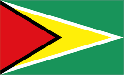 Guyana W logo