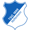 1899 Hoffenheim W logo