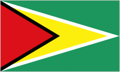 Guyana W U17 logo