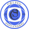 Crişul Sântandrei logo