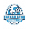 Hainan Star logo