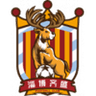 Zibo Qisheng logo