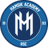 Hamsik Academy logo