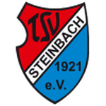 TSV Steinbach II logo