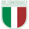 Blumenau logo