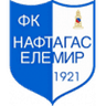 Naftagas logo
