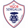Vigor Senigallia logo