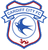 Cardiff City U21 logo