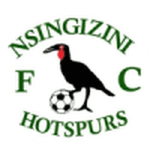 Nsingizini Hotspurs logo