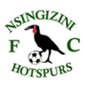 Nsingizini Hotspurs logo