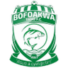 Bofoakwe Tano logo