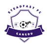 Steadfast logo