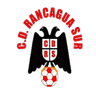 Rancagua Sur logo