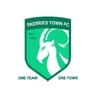 Skerries Town logo