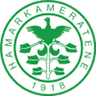 HamKam II logo