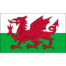Wales U18 logo