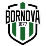 Viven Bornova logo