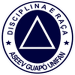 ASEEV logo