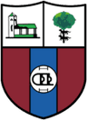 Derio logo