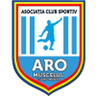 ARO Muscelul Câmpulung logo
