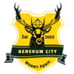 Berekum City logo