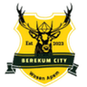 Berekum City logo