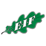 EIF Akademi logo