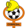 Cobresal logo