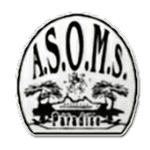 Paradise logo