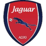 Jaguar U20 logo