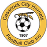 Cessnock City Hornets logo
