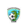 Vicentino Dragons logo