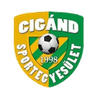 Cigand SE logo