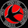 Matamata Swifts logo