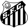 Santos U17 logo