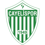 Çayelispor logo