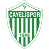 Çayelispor logo