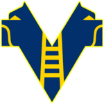Hellas Verona U20 logo
