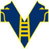 Hellas Verona U20 logo