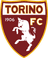 Torino U20 logo