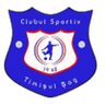 Timişul Şag logo