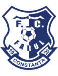 FCV Farul U19 logo