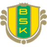Bollstanäs logo