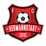 AFC Hermannstadt logo
