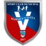 CSM Ramnicu Valcea logo